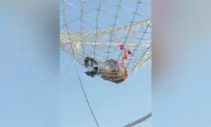 Safety net foils drone attack on Hassankhel police station Safety net foils drone attack on Hassankhel police station