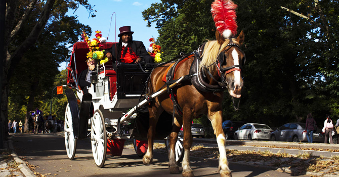 26-10-13-NYC horse-carriage rides under threat2 670