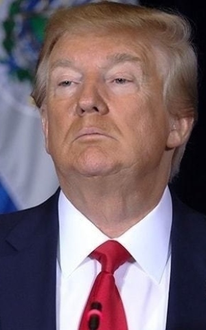 Losing a presidential election